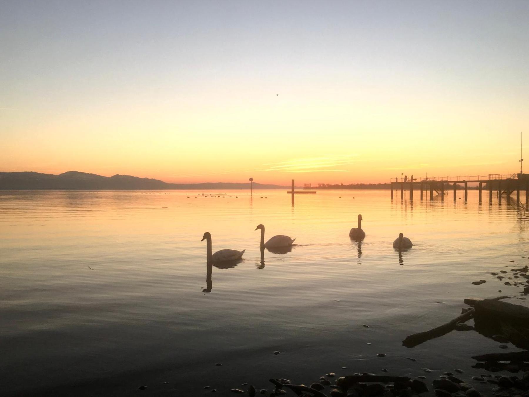 Ferienwohnung Riva - Wohlfuehloase In Ruhiger Lage Lindau  Buitenkant foto