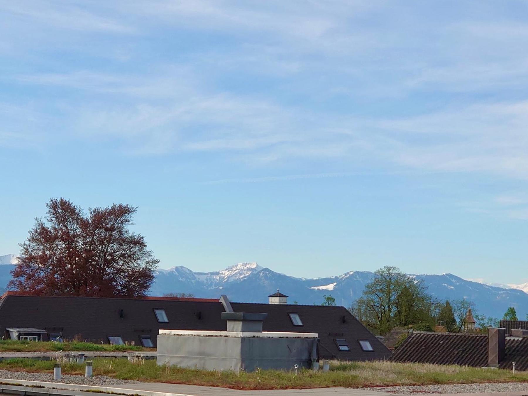 Ferienwohnung Riva - Wohlfuehloase In Ruhiger Lage Lindau  Buitenkant foto