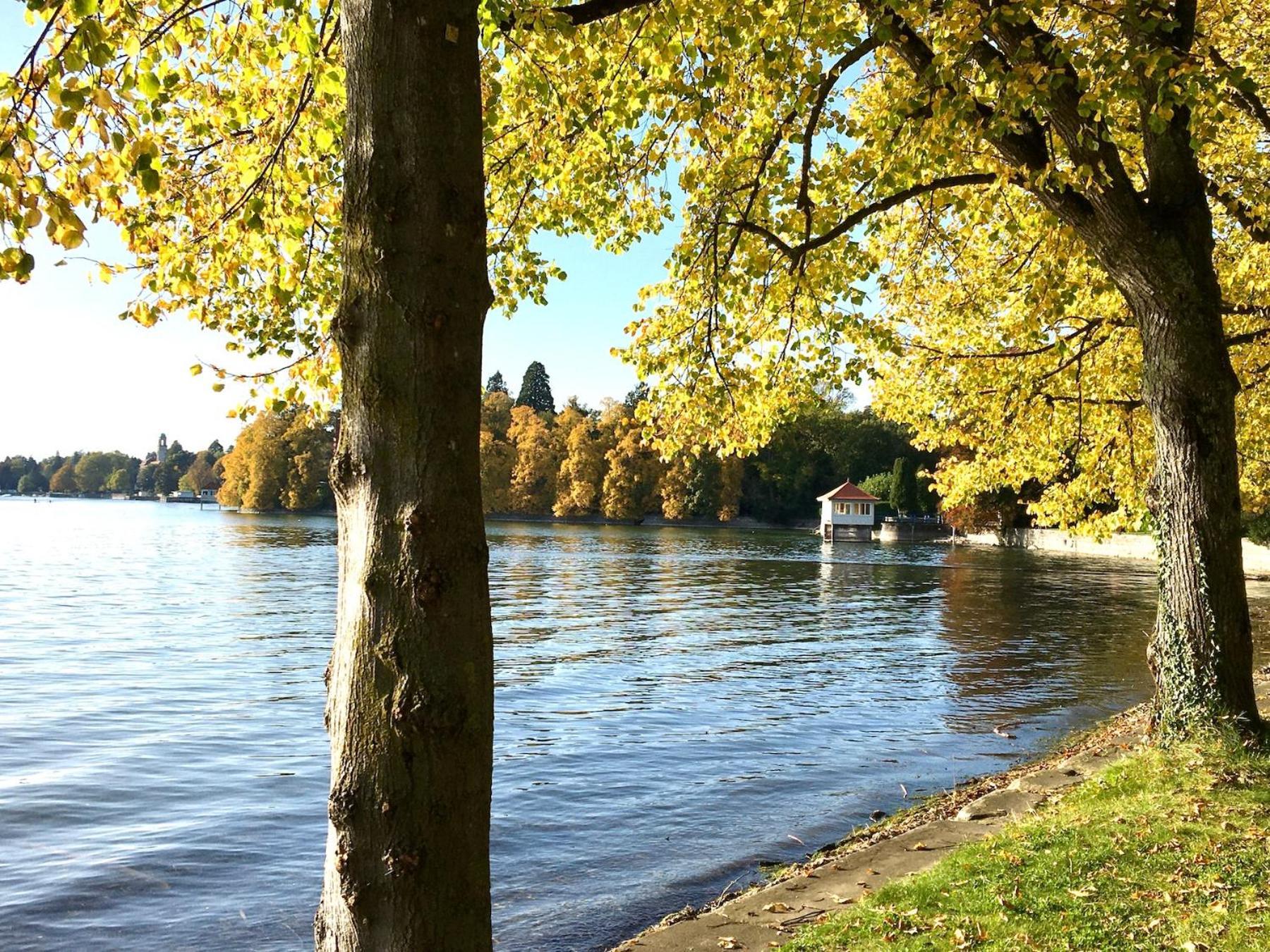 Ferienwohnung Riva - Wohlfuehloase In Ruhiger Lage Lindau  Buitenkant foto